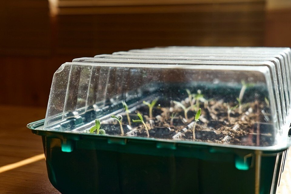    ShutterStock/Fotodom.ru