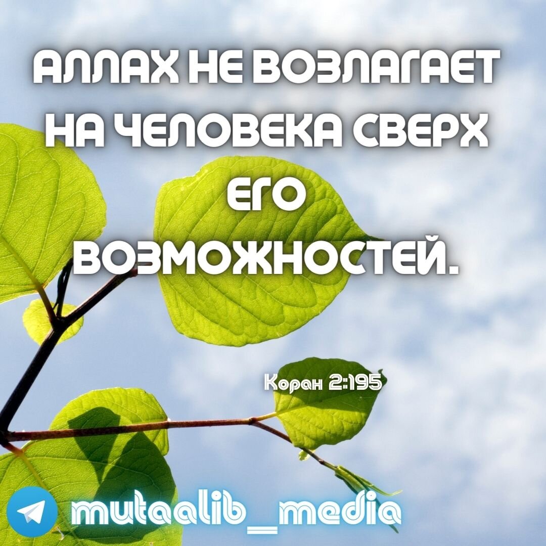 Аллах не возлагает на человека сверх его возможностей. | Mutaalib Media |  Дзен