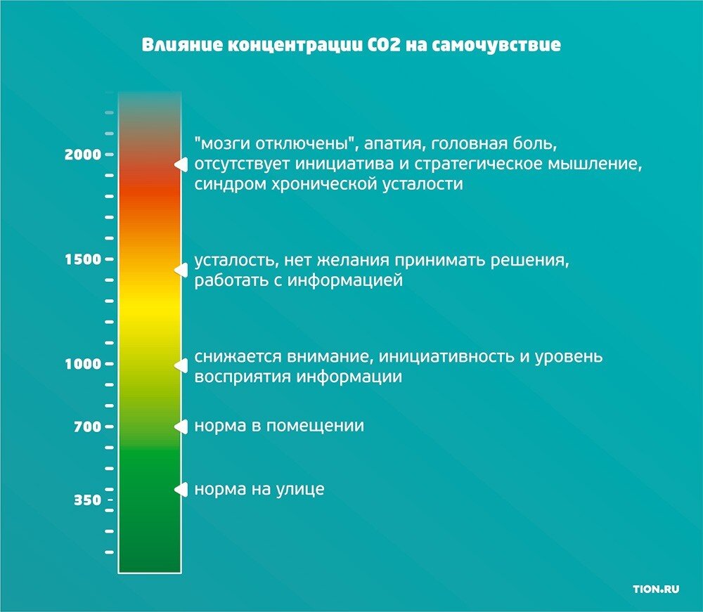 Про полезные растения. Часть 3. И чистый воздух в доме | PlantsForPeace |  Дзен