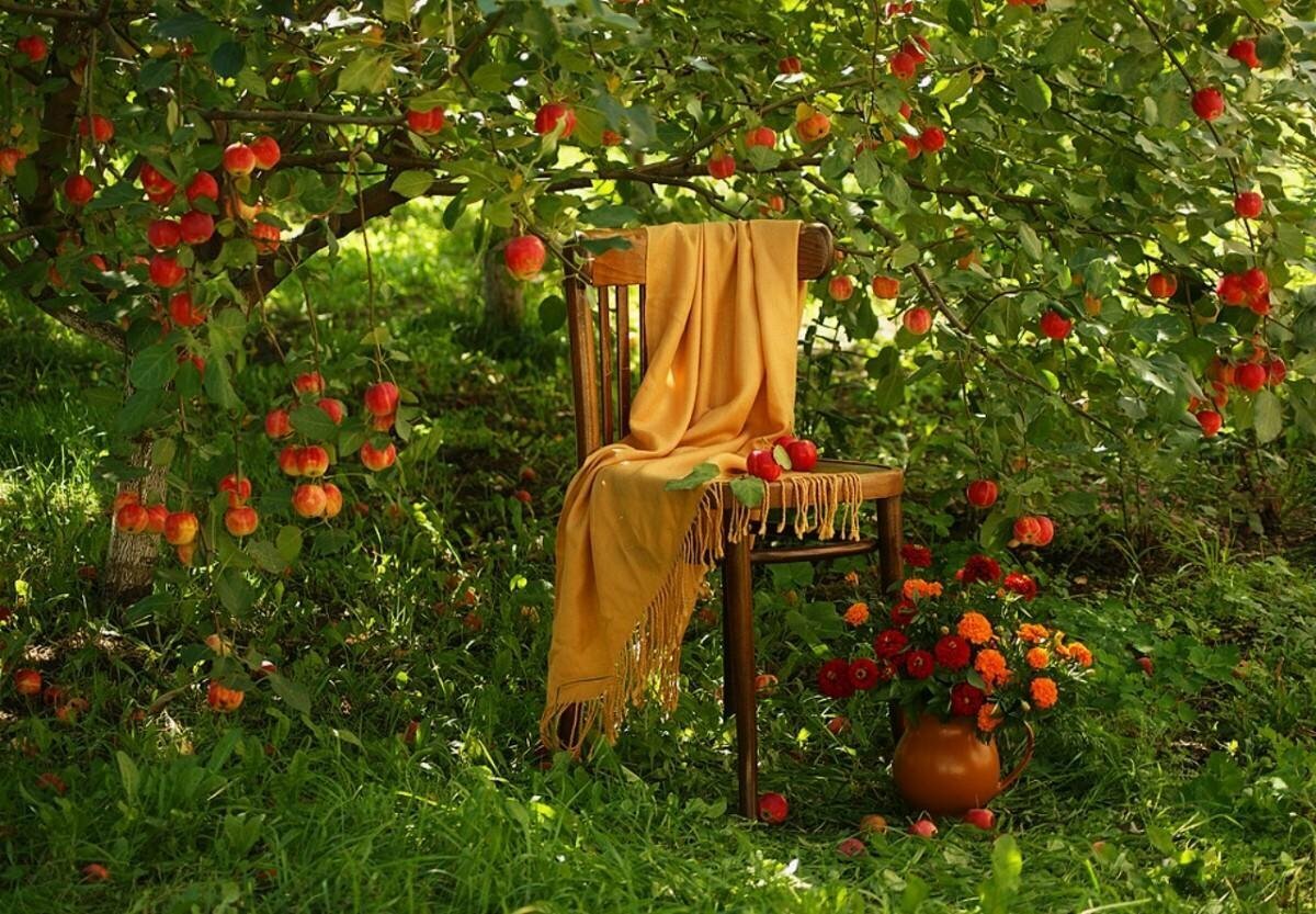 фото из яндекса