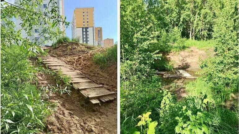     Проект, в рамках которого будет создана экотропа на территории Бурнаковской низины в Нижнем Новгороде, уже разработан и согласован. Об этом рассказал мэр Юрий Шалабаев в своем Telegram-канале.