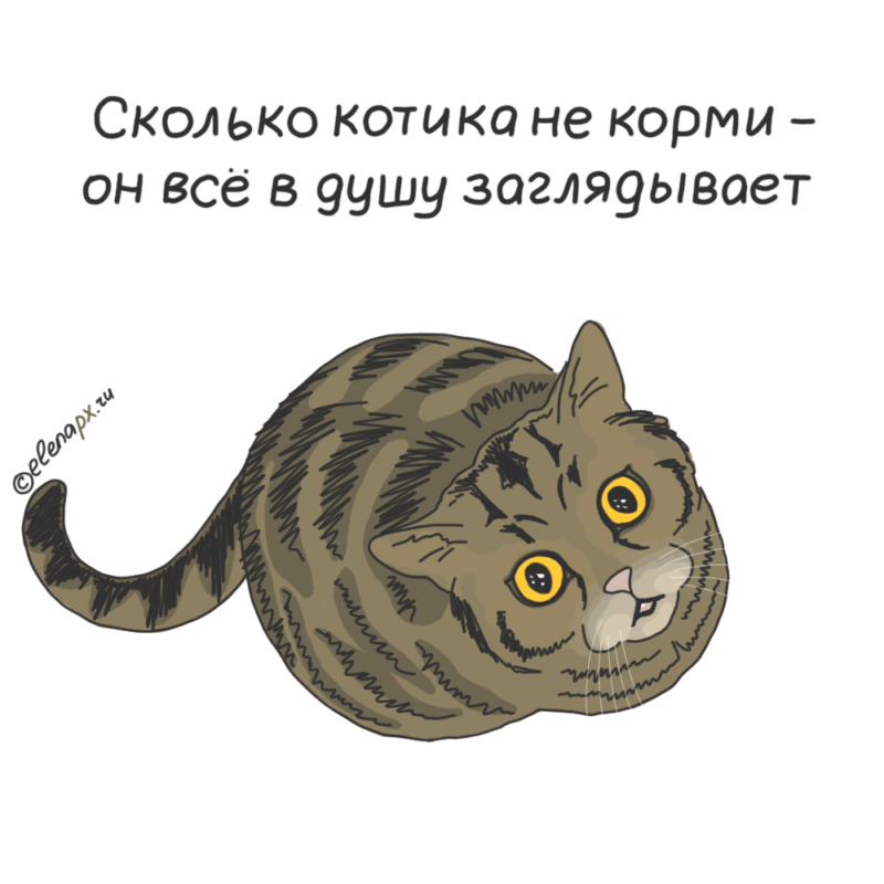 Голодный кот рисунок