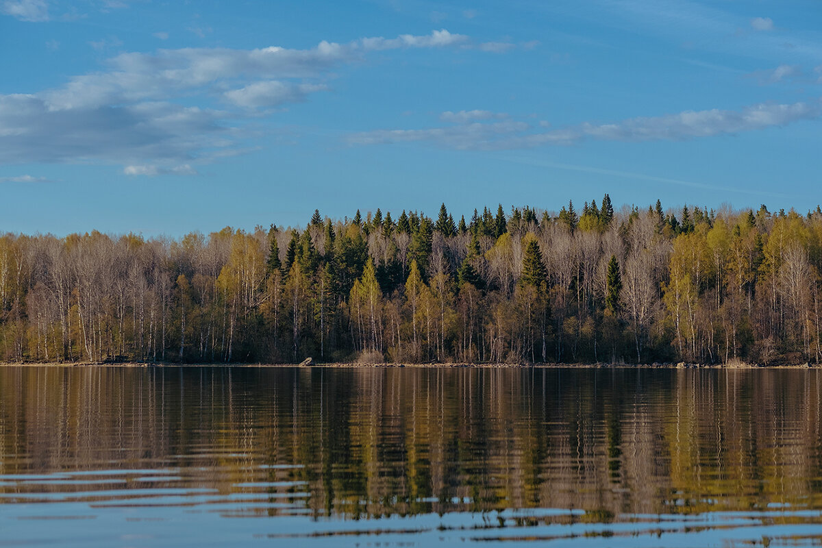 Погода сосновый карелия рп5. Поселок сосново. Сосновый бор карелия. Ведлозеро карелия. Братская могила поселок кестеньга.