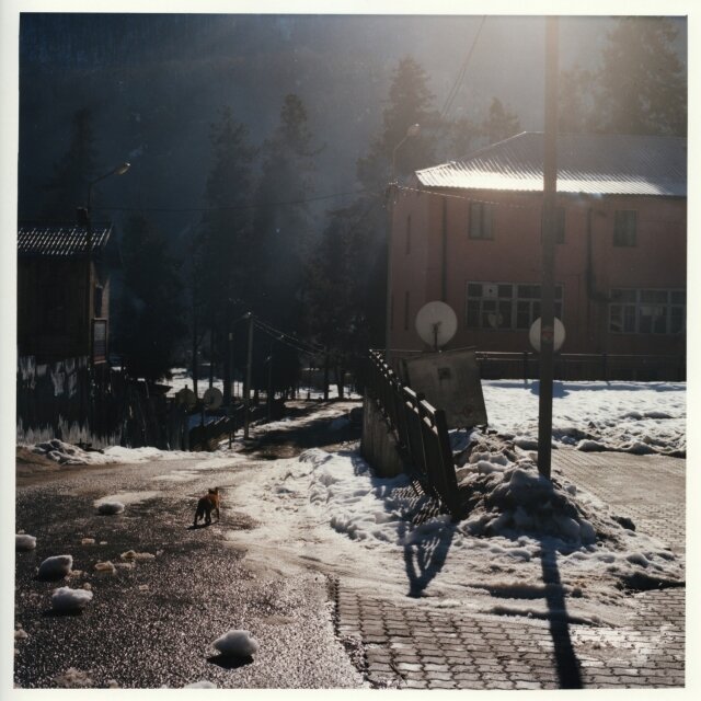 © Павел Косенко
Махунцети, Грузия, январь 2017