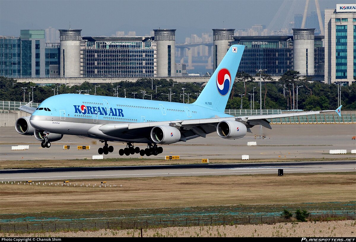 Korean Air, национальный перевозчик Южной Кореи и центральная бизнес-единица чеболя Hanjing, получает основную прибыль на дальнемагистральных маршрутах, поэтому трансграничные объединения могут быть выгодны для авиакомпании - если её американские маршруты будут наполняться пассажирами, собираемыми по местной сети её нового партнёра