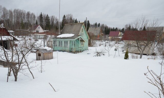 Посмотрите, насколько хорошо всё видно. Летом все заростет листвой и половина скроется с глаз.