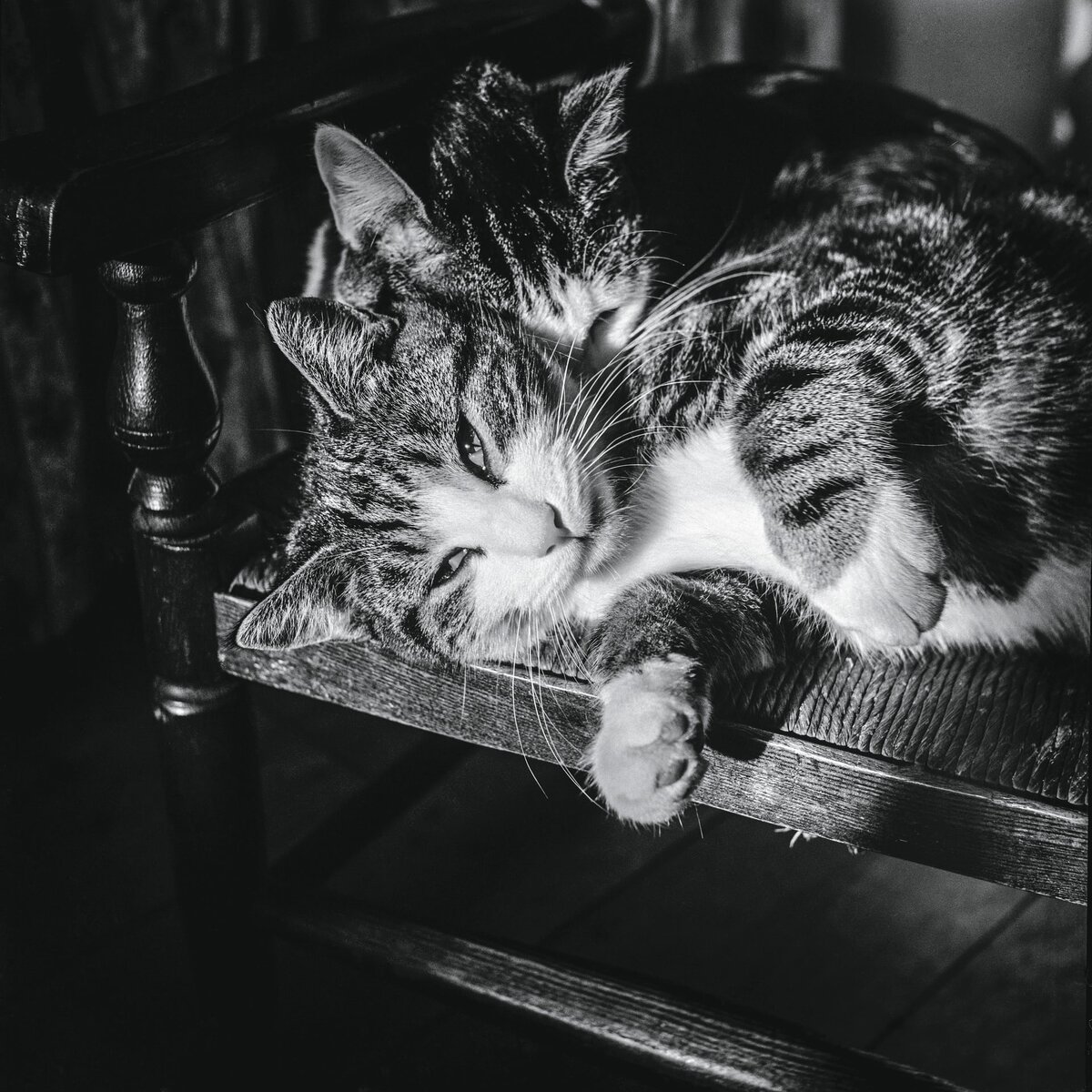 Квини и Дусти, 1967 г.