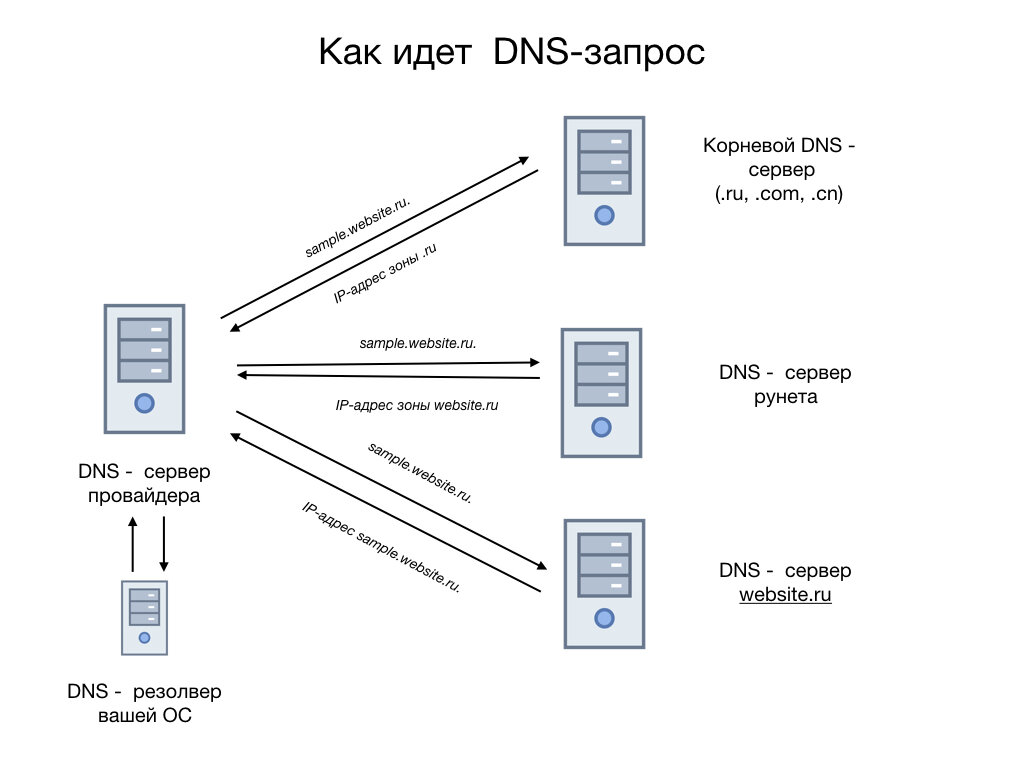 Адрес веб сайта. Структура dns. Антисекреторные средства. Резолвинг. Механизм действия лс это в фармакологии.
