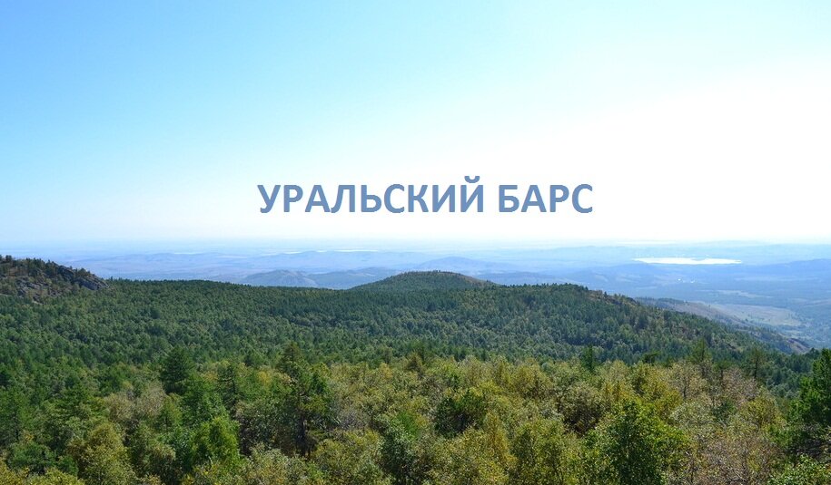 Уральский Барс Башкирия