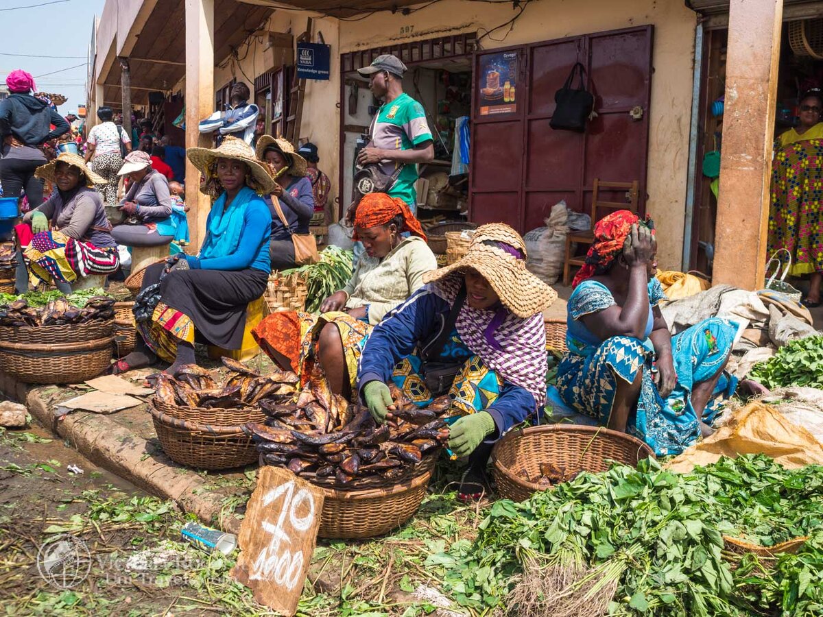 Cameroon. Яунде Камерун. Республика Камерун Яунде. Яунде Африка. Камерун Африка.