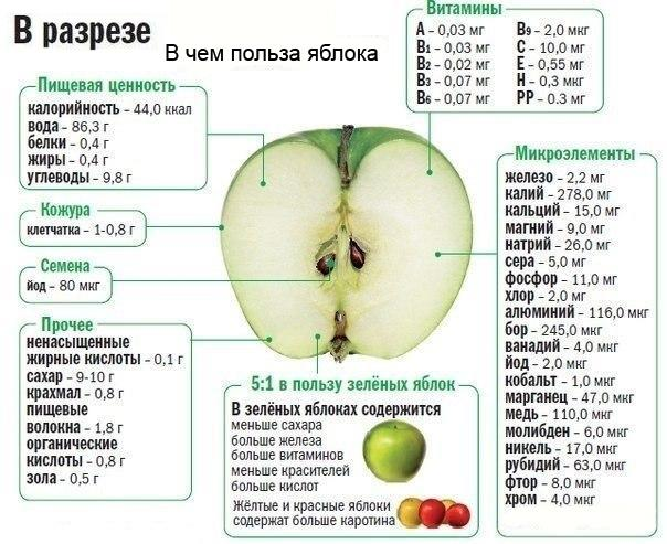 Яблоки не вредны, просто нужно знать особенности своего организма и соблюдать рекомендации врача, чтобы как можно реже с ним встречаться