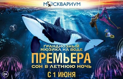 Фото из сети