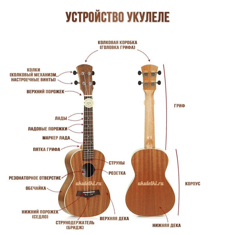 Гитара с рисунком на грифе