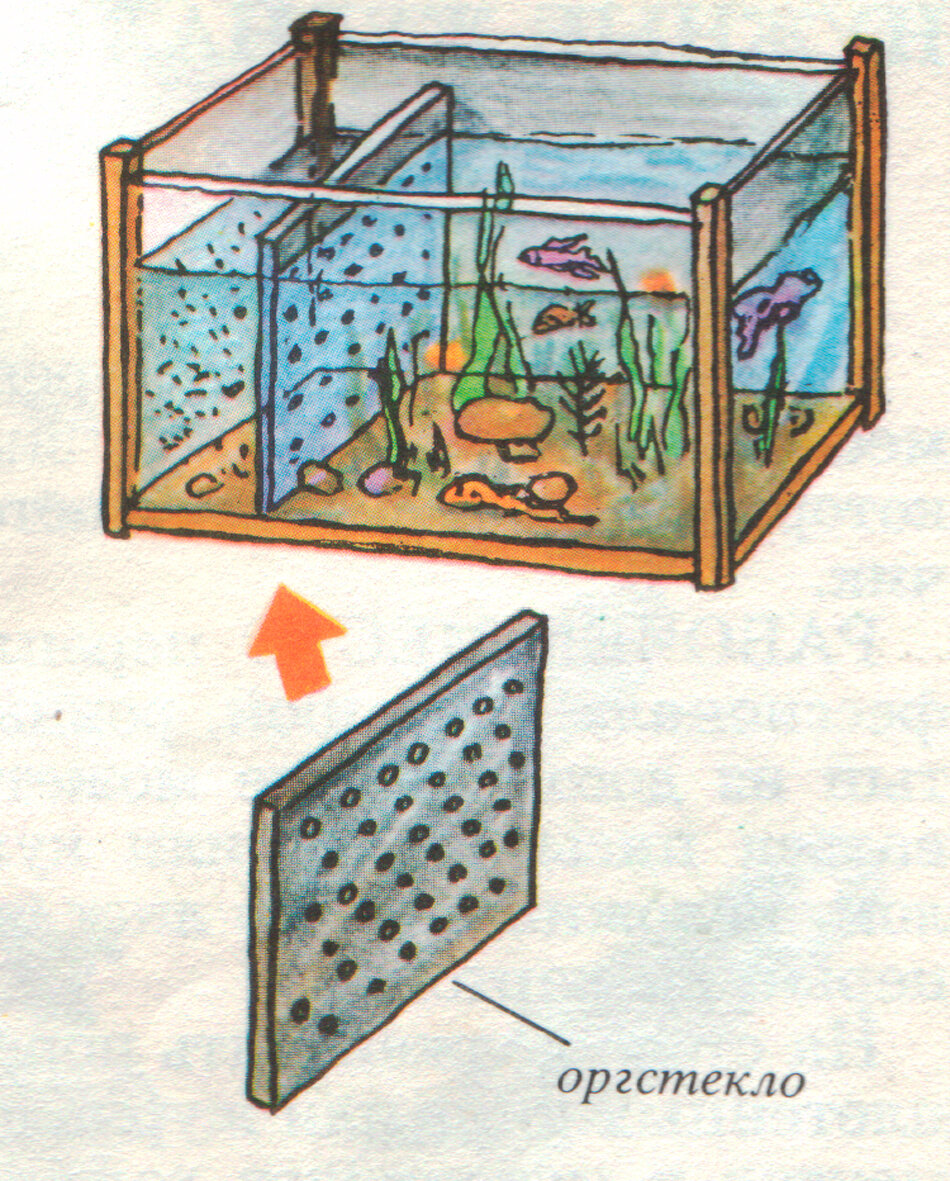 Из чего сделать перегородку в аквариуме для мальков