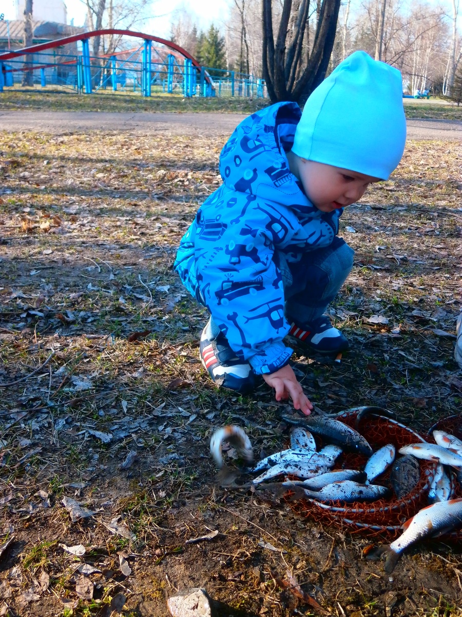                                                 Можно и погладить