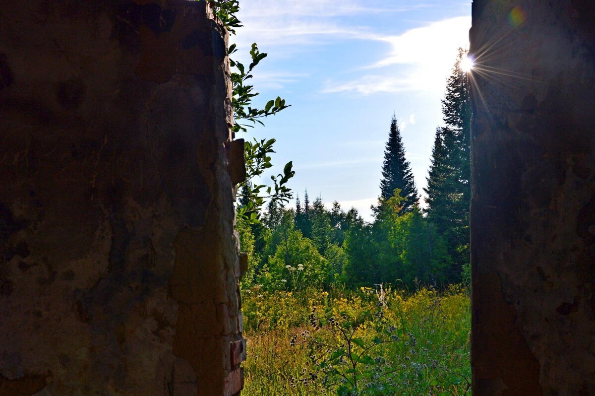 Фото автора. Вид из обсерватории