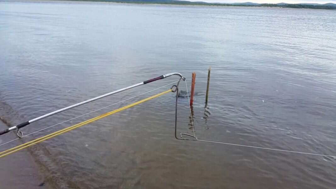 Пример самоподсекателя для донки