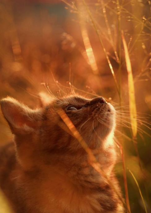 Где там паучок спрятался?