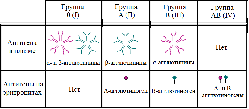 Обнаружены пятая и шестая группы крови