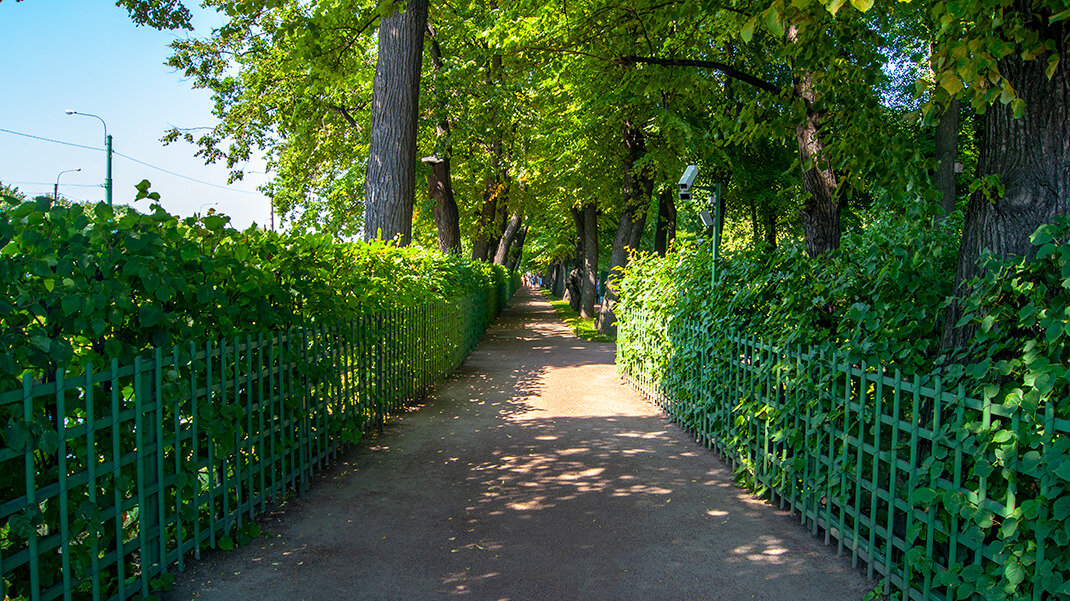 Летний сад в Санкт-Петербурге