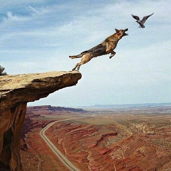 Выбор, сделанный в гневе, невозможно исправить. 