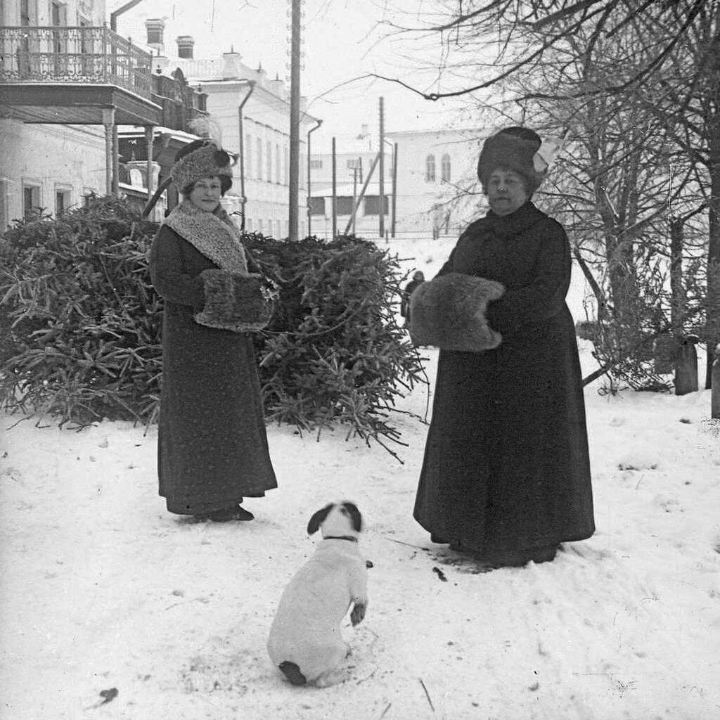 Рождественская елка. Георгий Несытов,  1910–1913 год, г. Ярославль, Которосльная наб., д. 24, из архива Георгия Владимировича Несытова и его отца Владимира Ивановича Несытова.