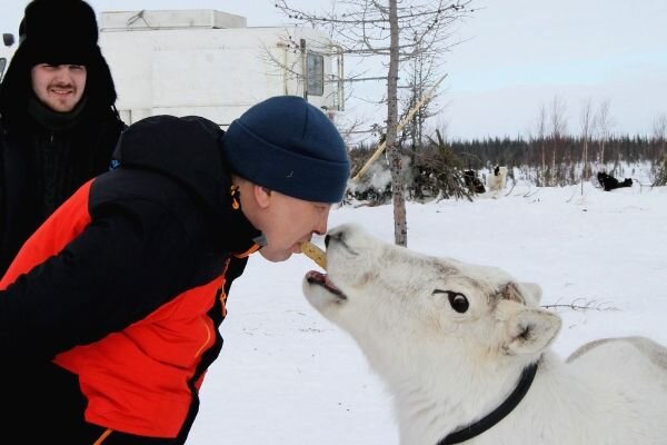  КРАСНЫЙ СЕВЕР