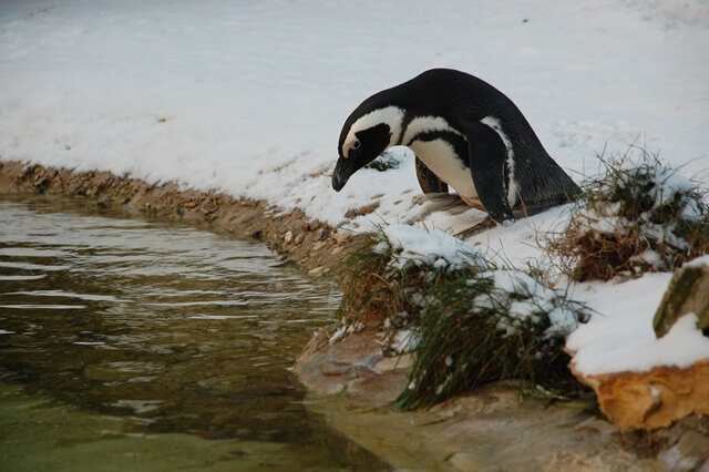 Ух, ты! Чего я могу достичь!