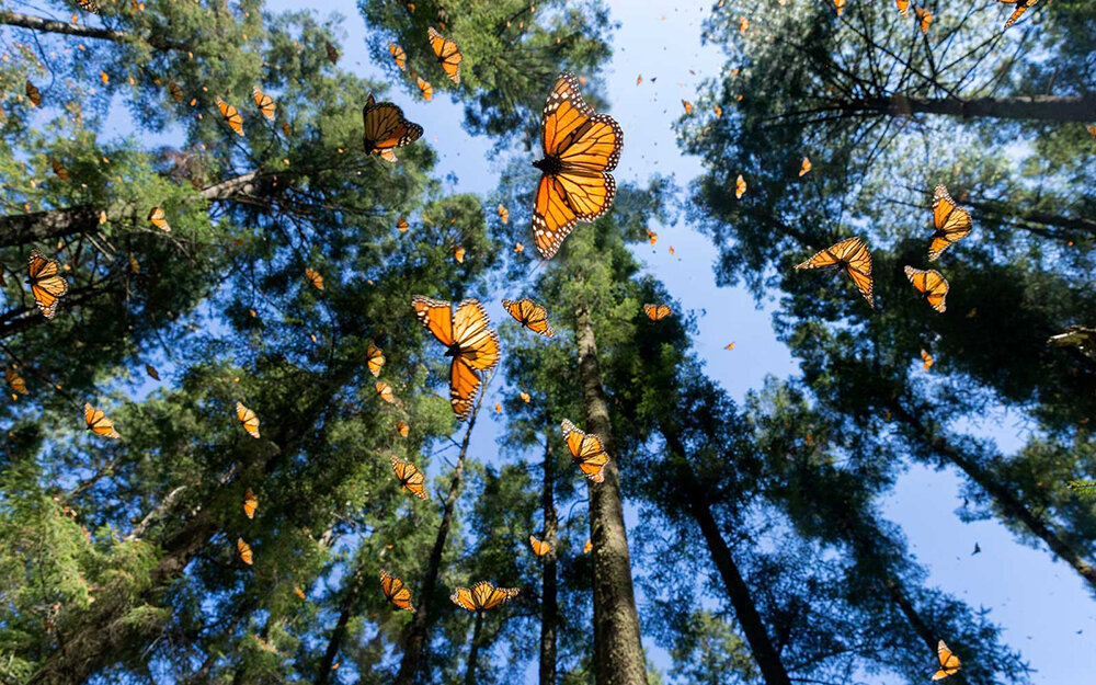 Фото: Travel-Leisure