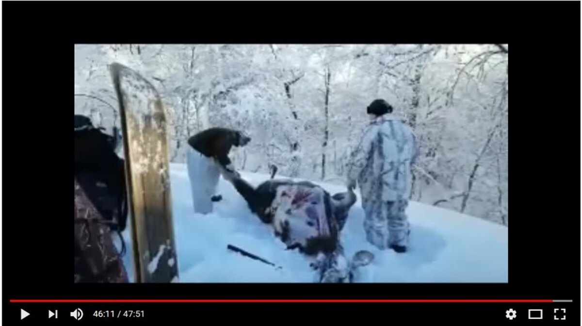 Принскрин с видео, обнаруженного в телефоне охотинспектора