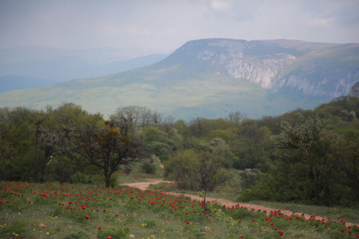 Крым 2015