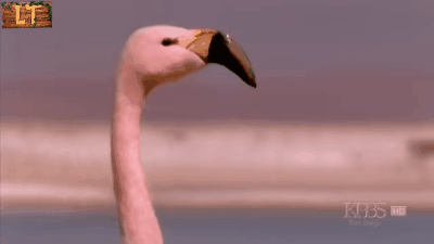 Фрагмент взят из ютюб