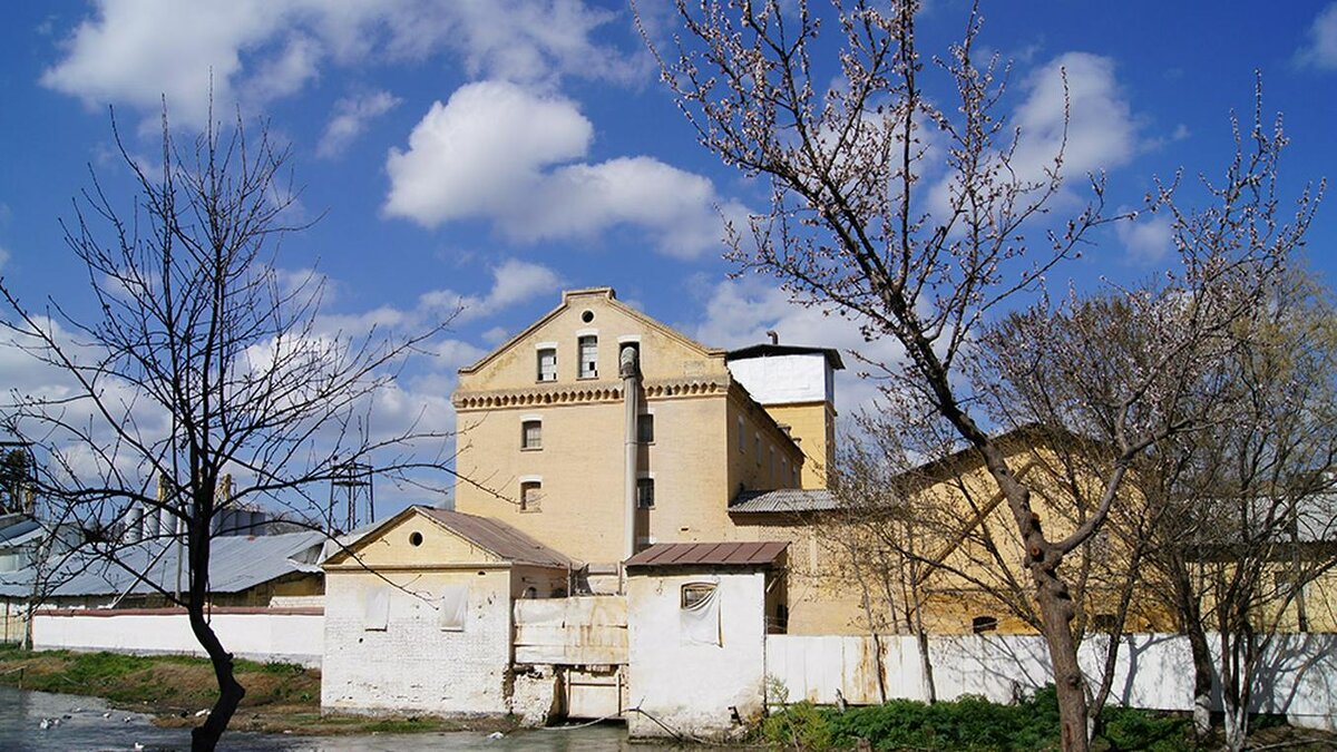 МЕЛЬНИЦА МИРОШНИЧЕНКО. ФОТО АВТОРА