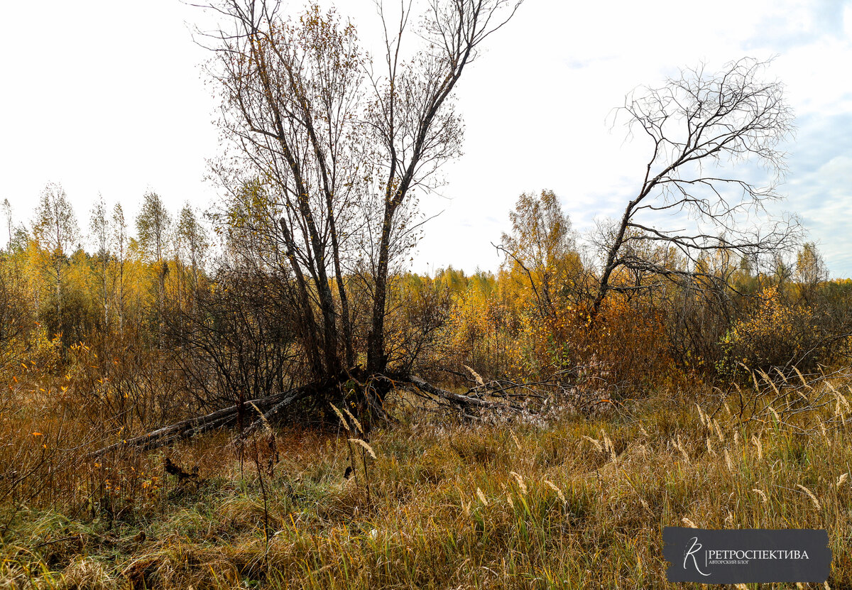 Источник - https://vk.com/retrospektive