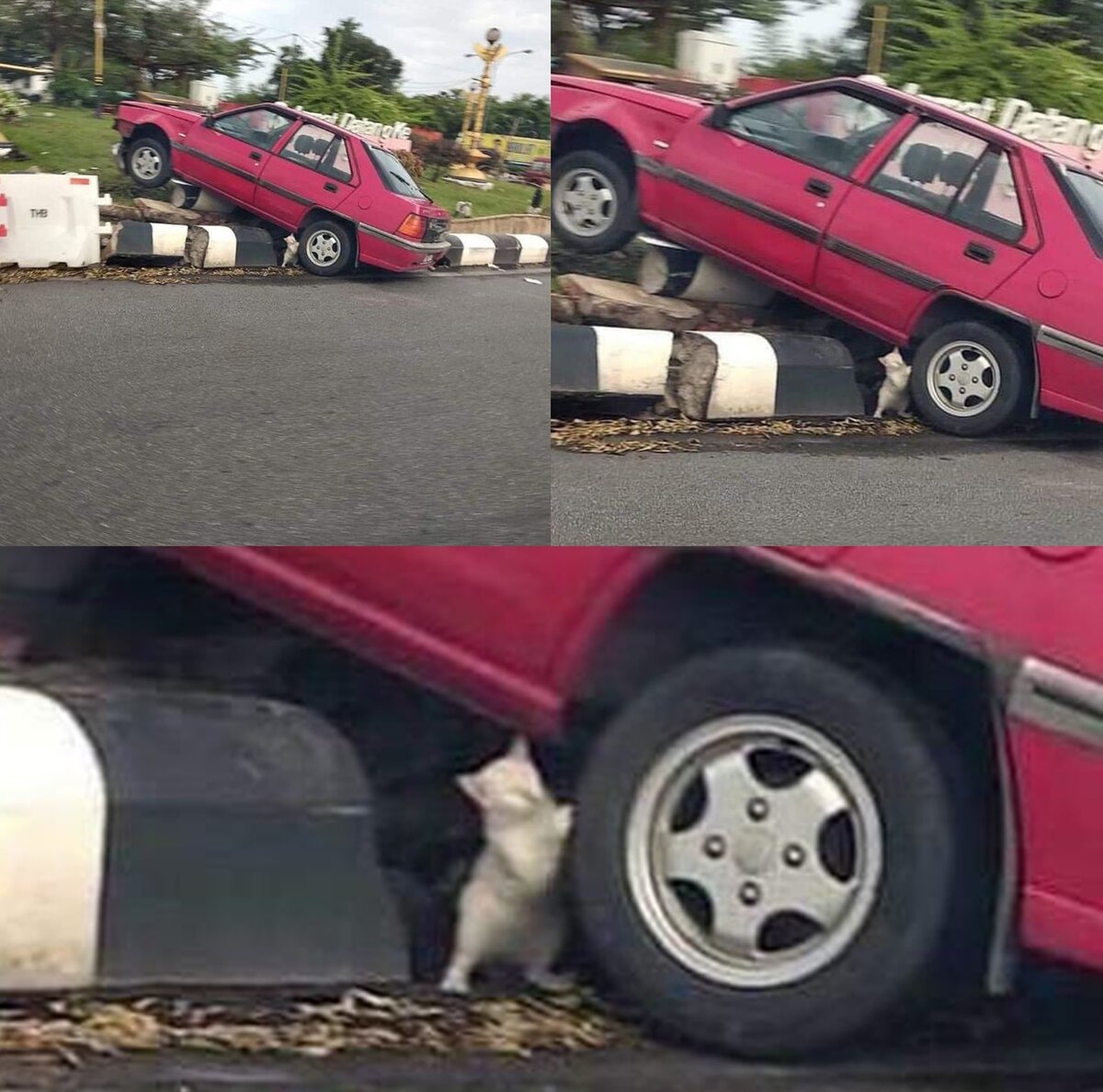 -2