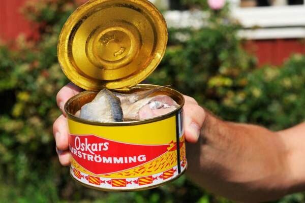 Сюрстрёмминг