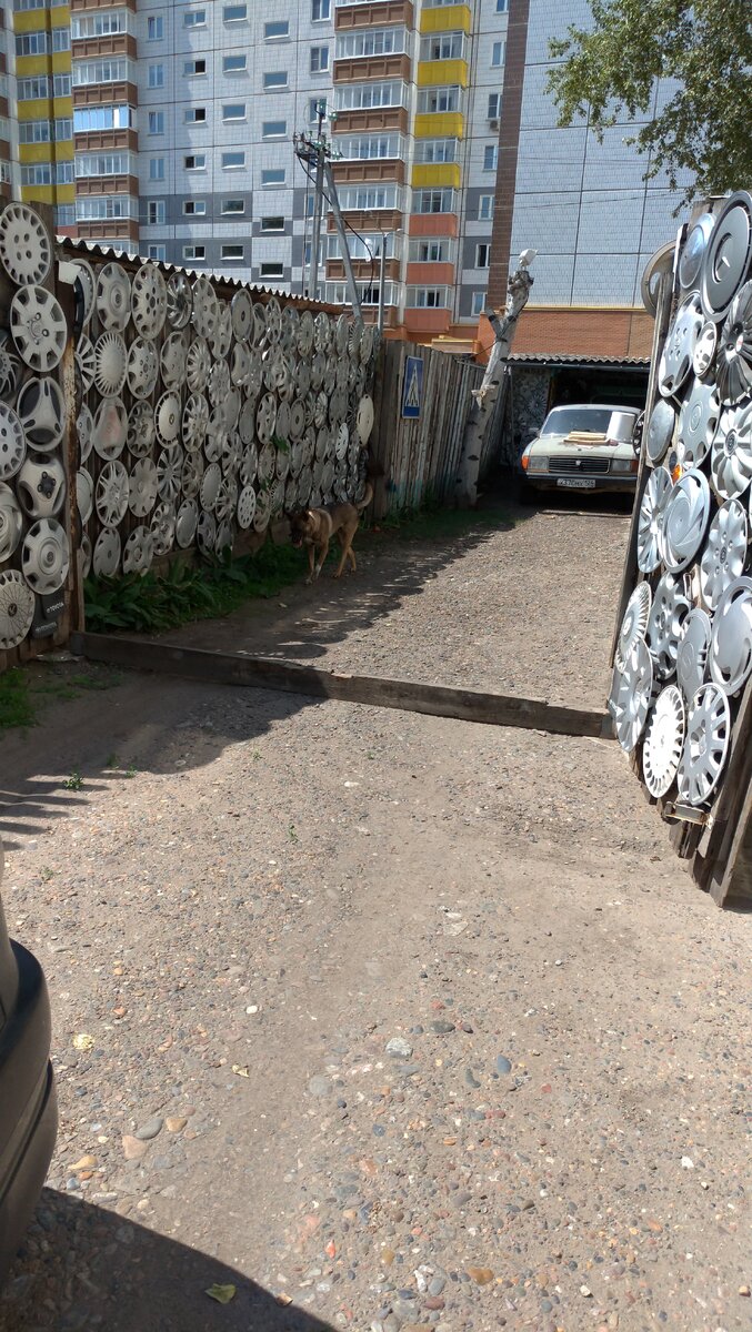 Наш ботаник.