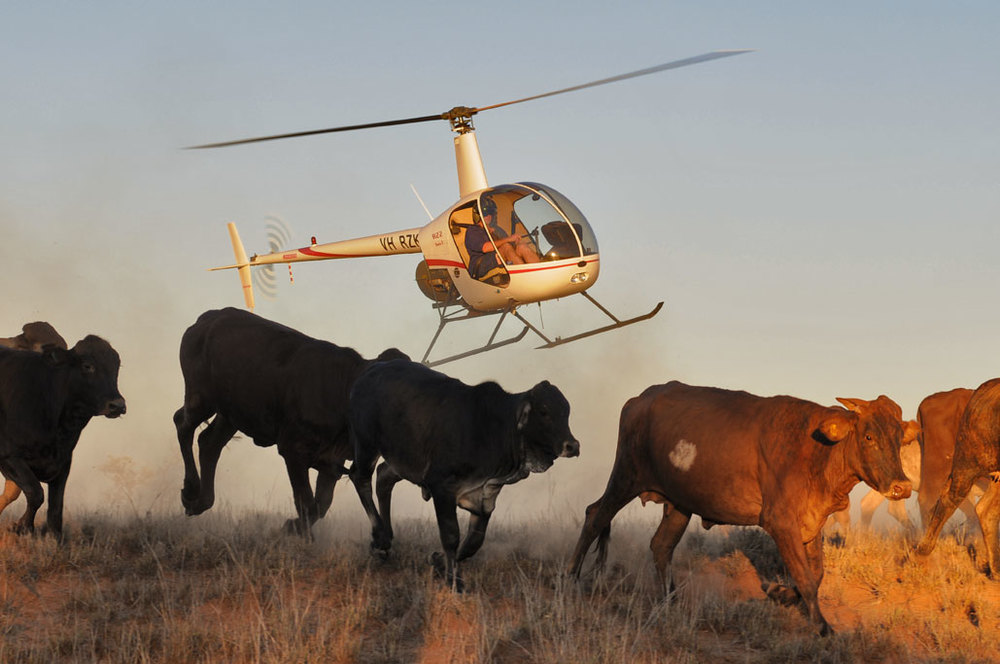 источник фотографии: www.eyeinthesky.com.au