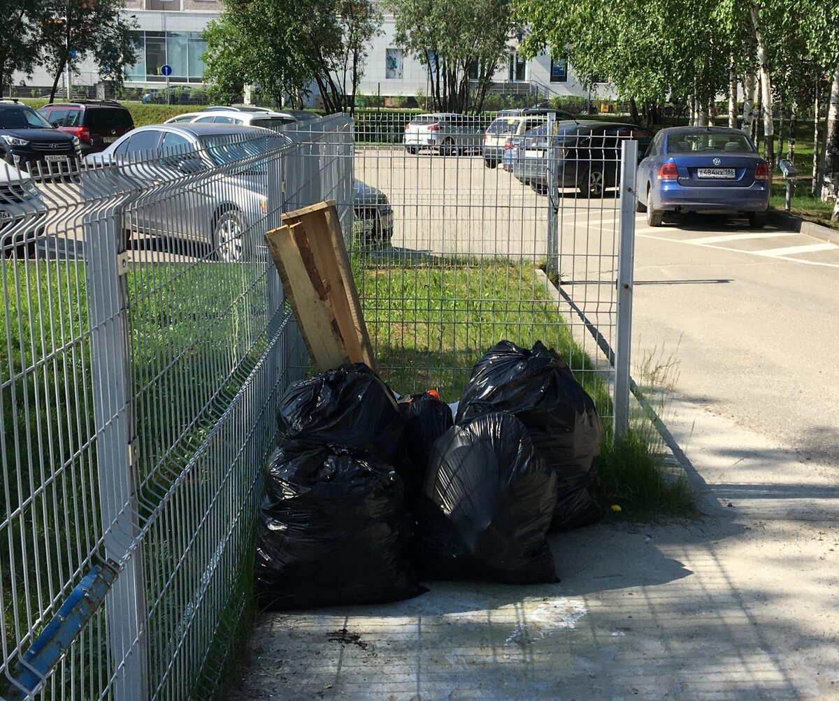 Фото siapress.ru