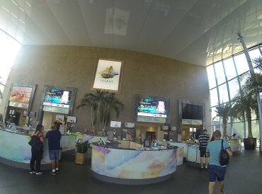 СПА - комплекс в Бухаресте: отзывы, фотографии, видео, адрес