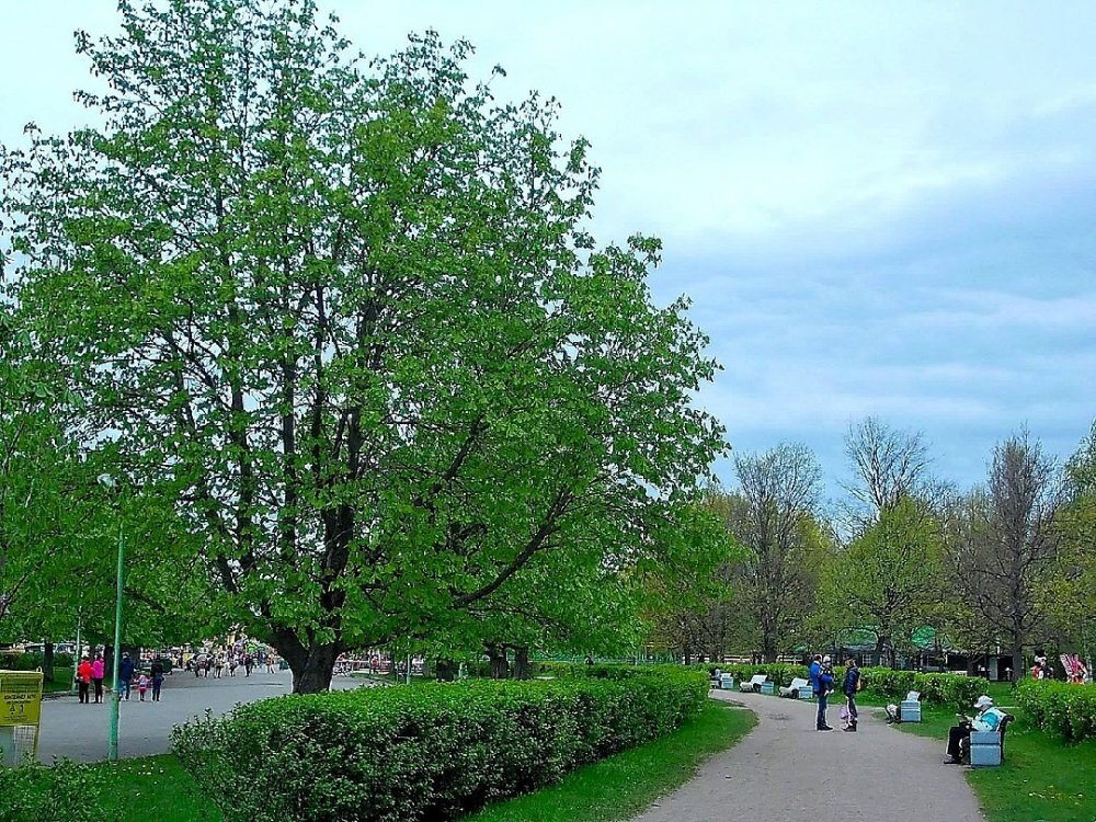  Южно-Приморский парк. Фото Википедия 