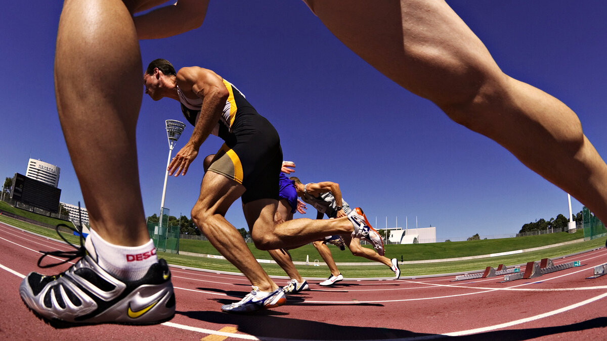 Автор: Екатерина Гринина