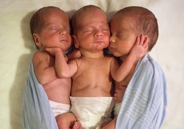 фото из открытых источников