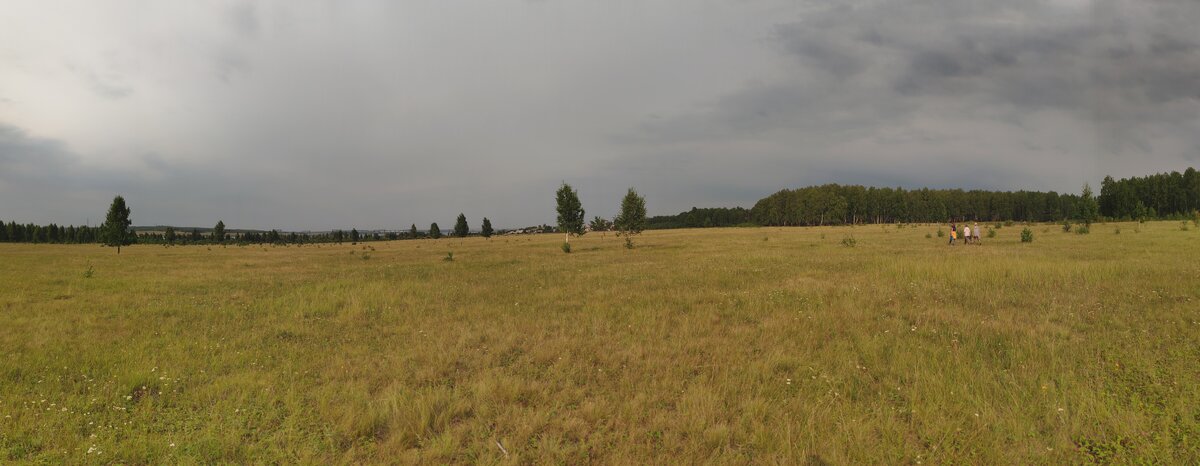 Да и полей таких тоже