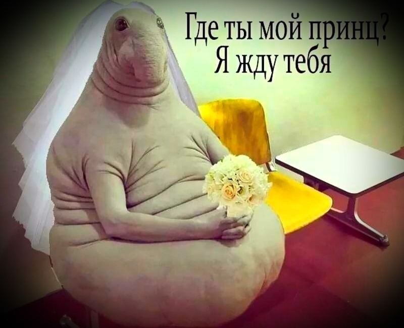 Источник: Яндекс.Картинки