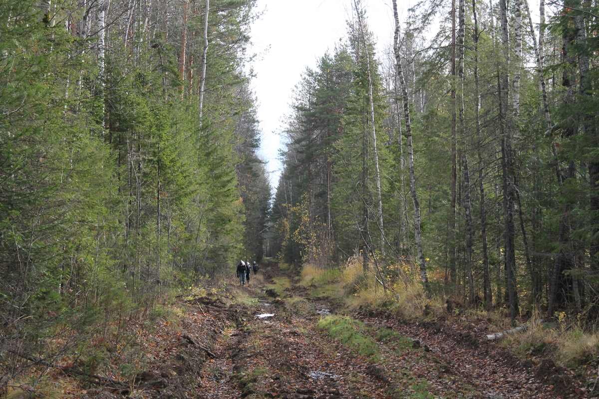 Первые километры маршрута. Фото Рейн А.С.