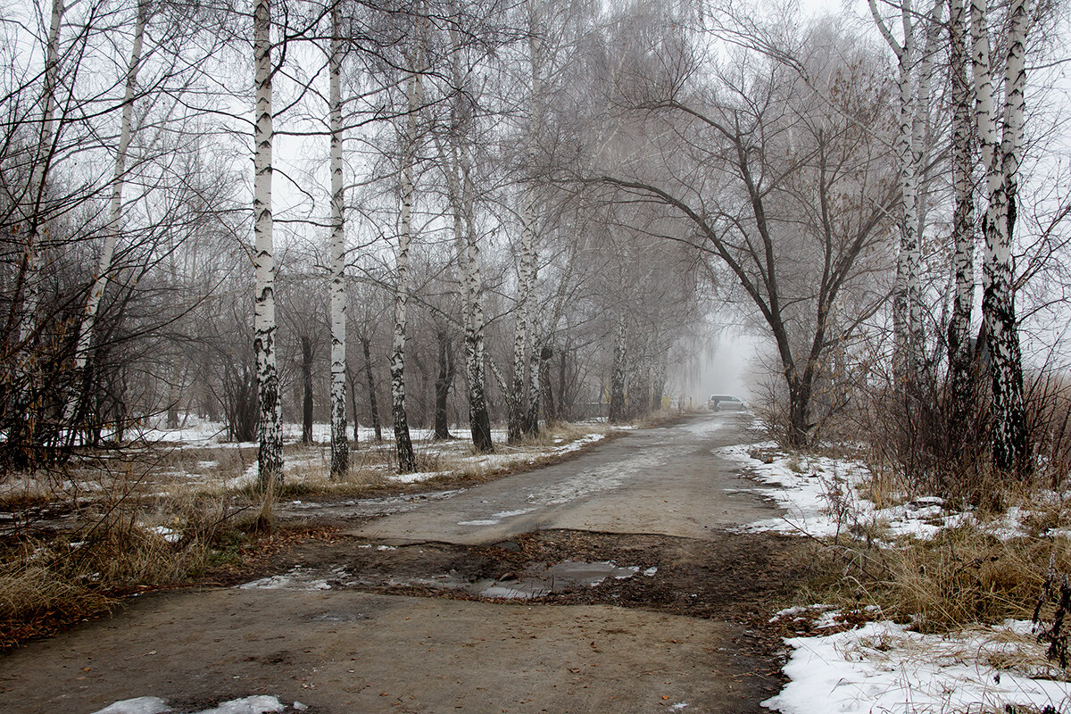 Самую позднюю осень. Поздняя осень ноябрь. Картина поздней осени ноябрь. Поздняя осень для детей. Ранняя Весна поздняя осень.