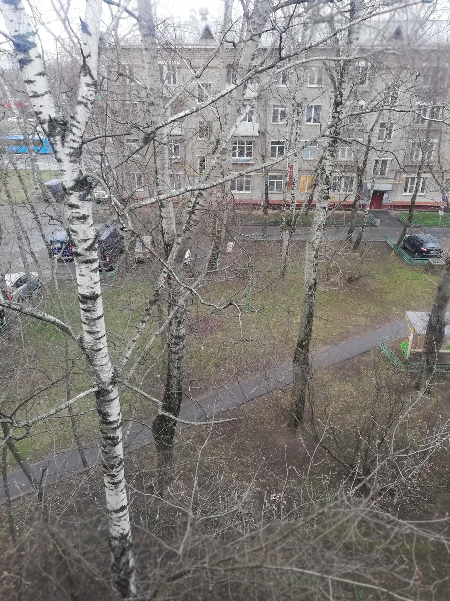 Московский пейзаж из окна