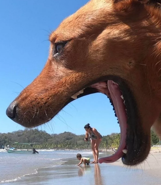 Удачные фото животных. Источник - Яндекс.Картинки. Подборка - "Мир фауны" Яндекс.Дзен