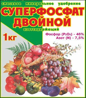 Иллюстрация для статьи используется по стандартной лицензии ©stroi-rasti.ru